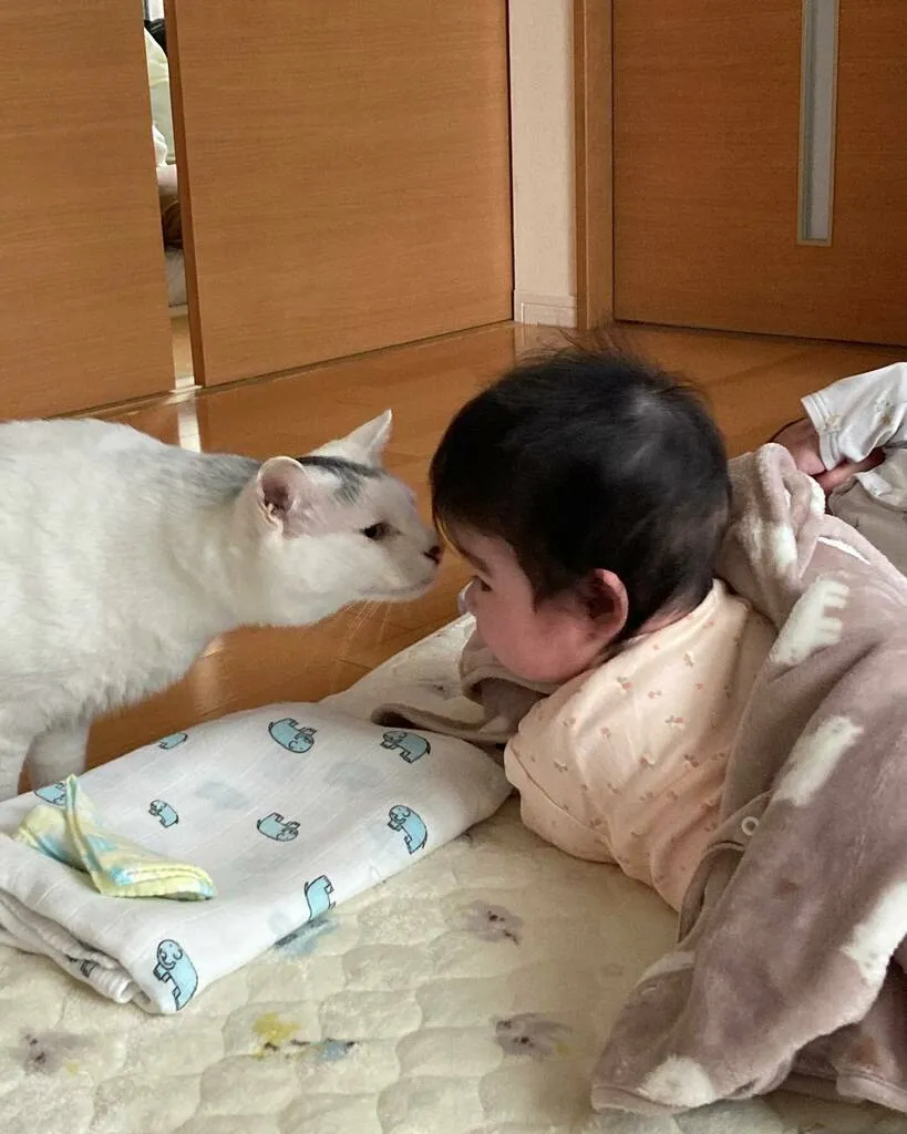 布団の上で顔を近づける子どもとだいごろう