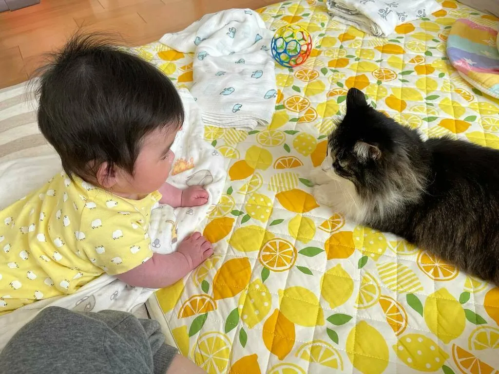 布団の上で向かい合い、同じような姿勢になる子どもとくるみ