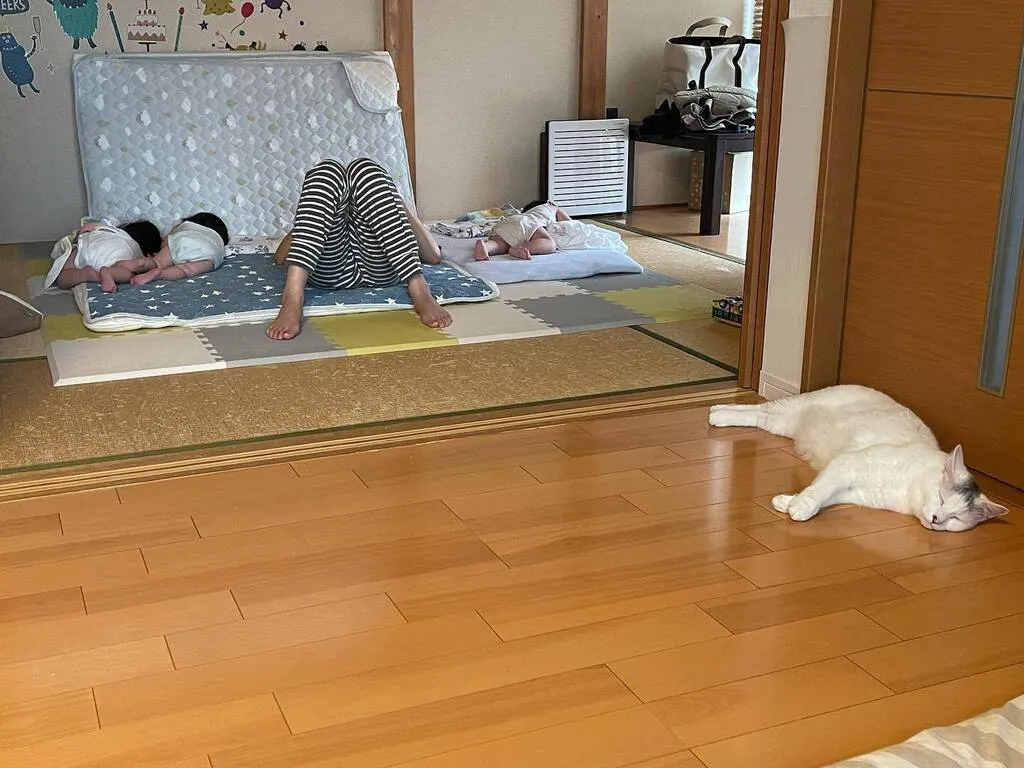 畳の部屋で昼寝する三つ子と大人、その手前で眠るだいごろう
