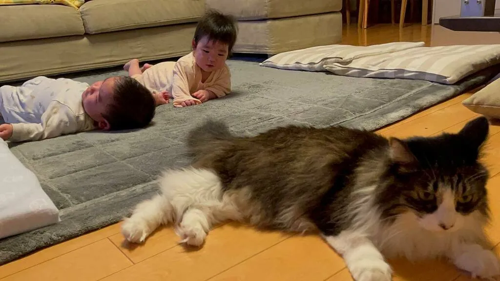 床に寝そべるくるみと、その後ろにいる子どもたち