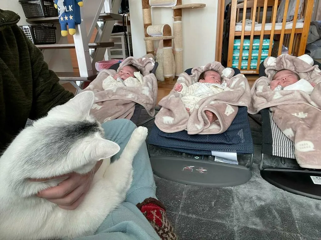 3台のバウンサーに並ぶ三つ子と、手前で抱っこされるだいごろう