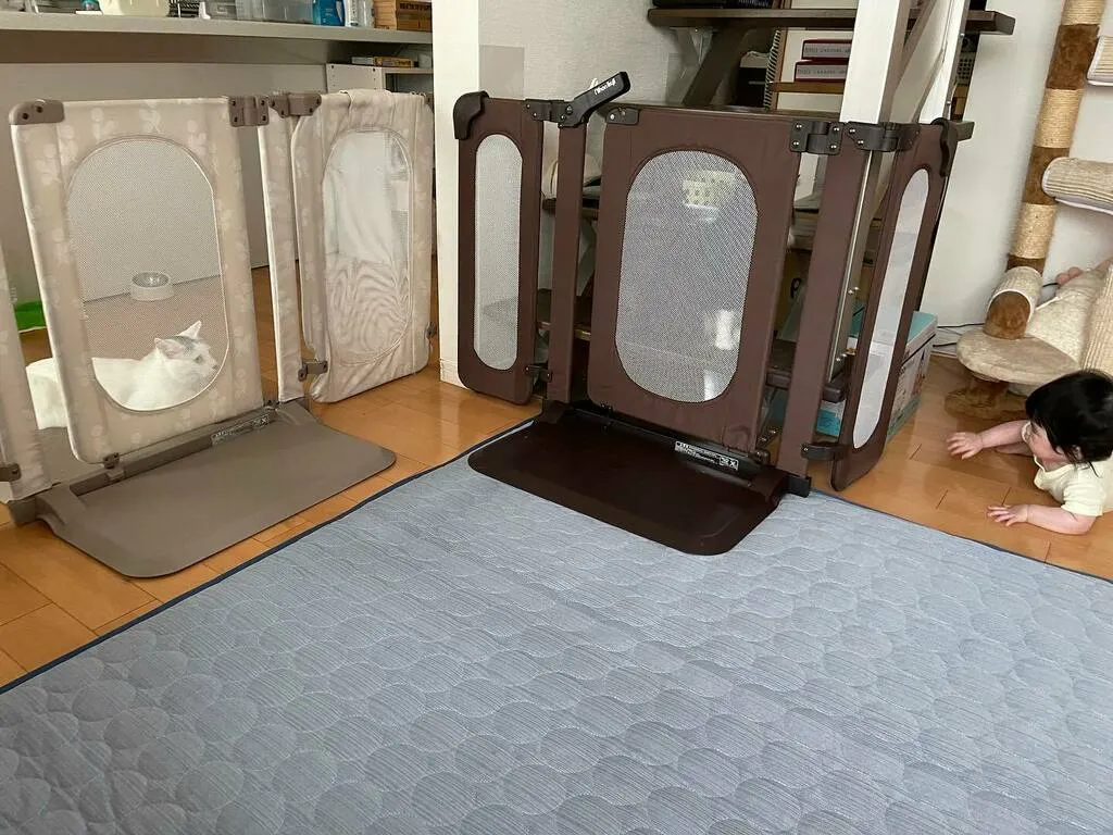 ベビーゲート越しに猫を見つめる三つ子