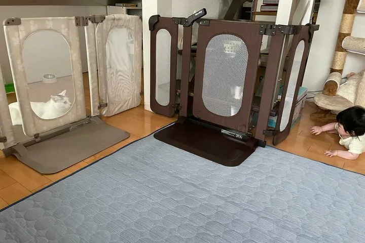 ベビーゲート越しに猫を見つめる三つ子