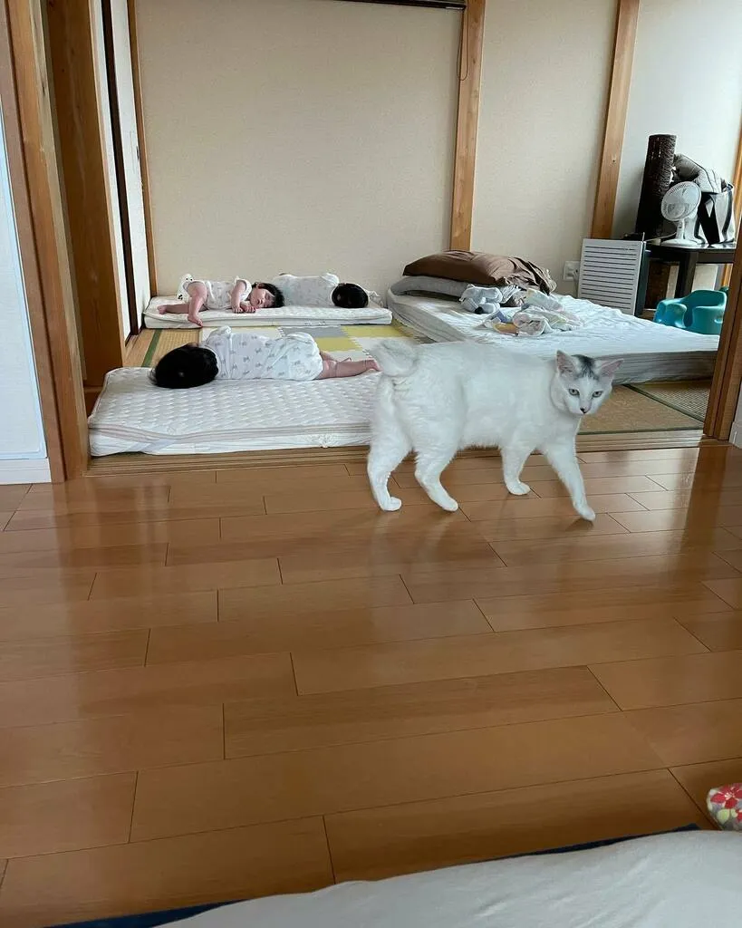 並んで眠る三つ子の前を歩くだいごろう