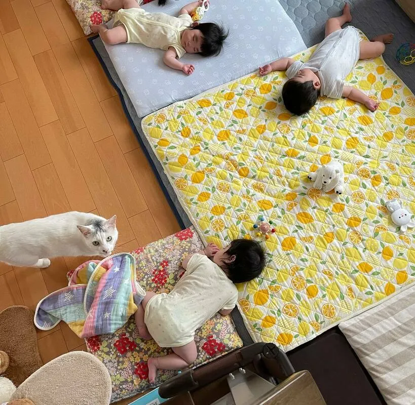 布団で眠る三つ子のそばにいる猫