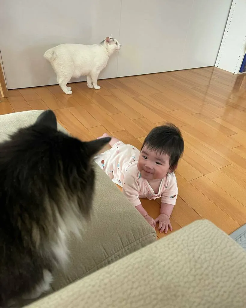くるみへ笑顔で近づく子どもと、後ろにいるだいごろう