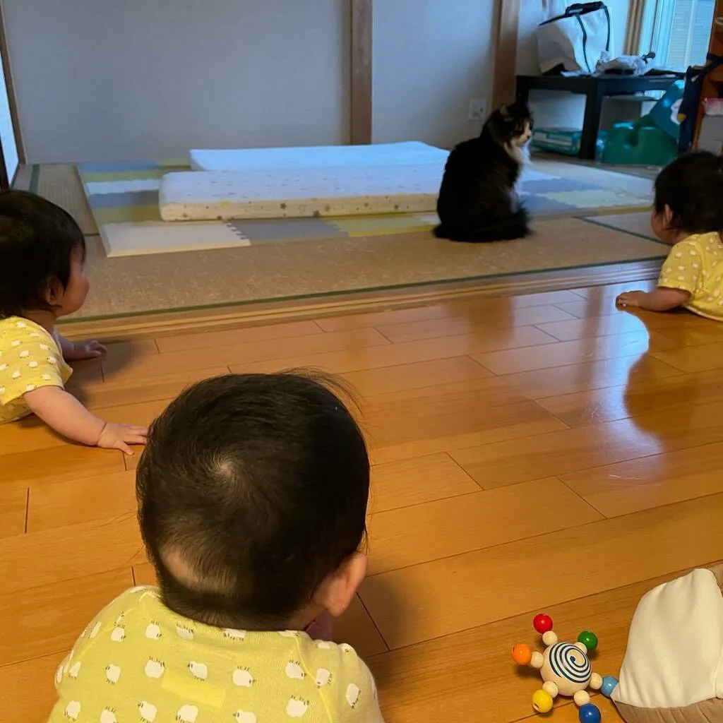 部屋の奥に座る猫を、3人で見つめる三つ子