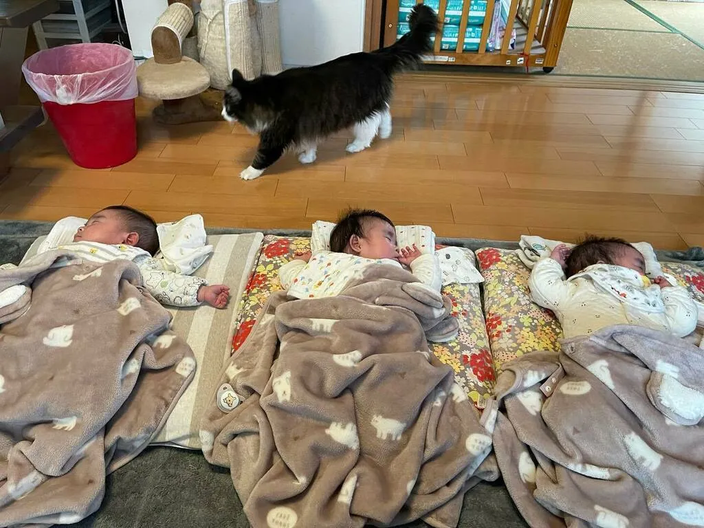 毛布を掛けて横一列に眠る三つ子と、その後ろを歩くくるみ