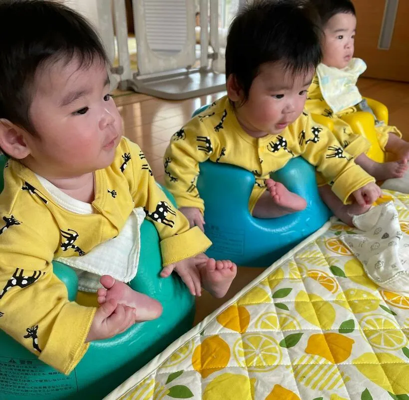 椅子に並んで離乳食を食べる三つ子