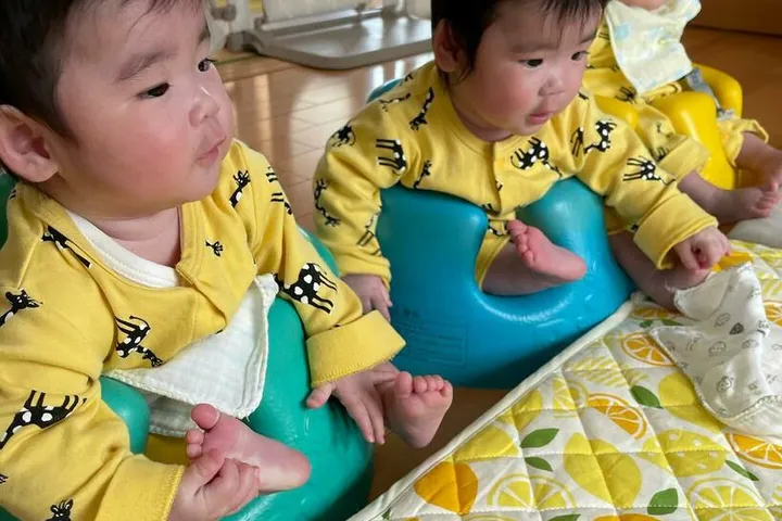 椅子に並んで離乳食を食べる三つ子