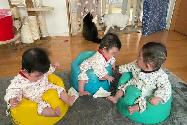 3つのバンボに並んで座る三つ子